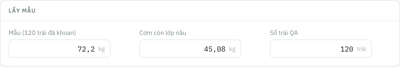 Phần Lấy mẫu